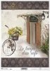 kawiarnia, restauracja, kwiaty, kosz kwiatów, kwiat, słonecznik, rower, R840, cafe, restaurant, flowers, basket of flowers, flower, sunflower, bike, Cafe, Restaurant, Blumen, Blumenkorb, Blume, Sonnenblume, Fahrrad, café, restaurante, flores, cesta de flo